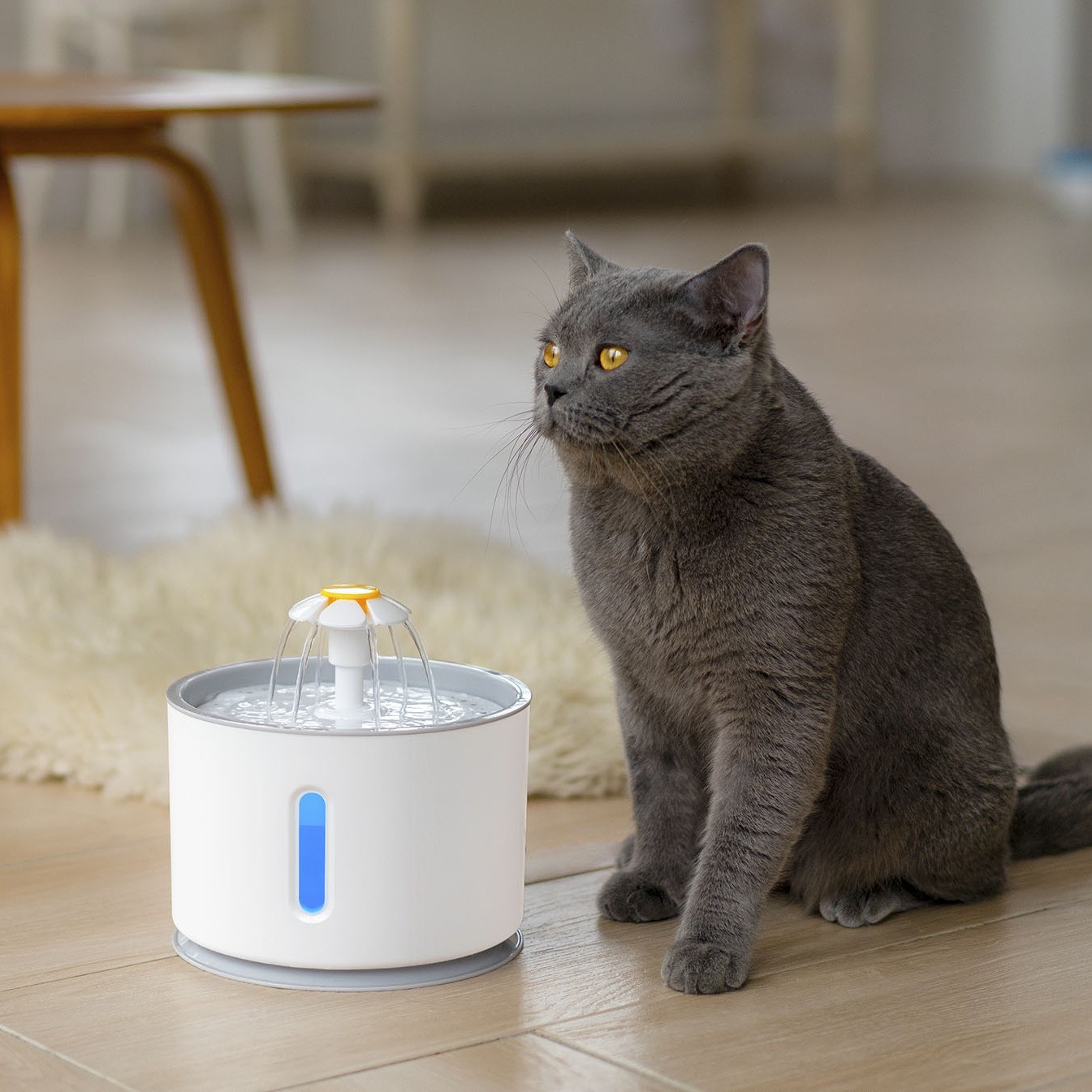 2.4L plastic cat and dog water dispenser