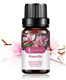 Single: Magnolia/Magnolia magnolia 10ml
