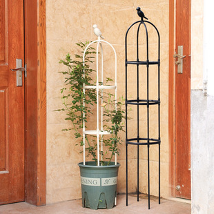 Spliced Plant Climbing Stand Outdoor Gardening Black European Flower Stand Plant Climbing Stand Amazon Source