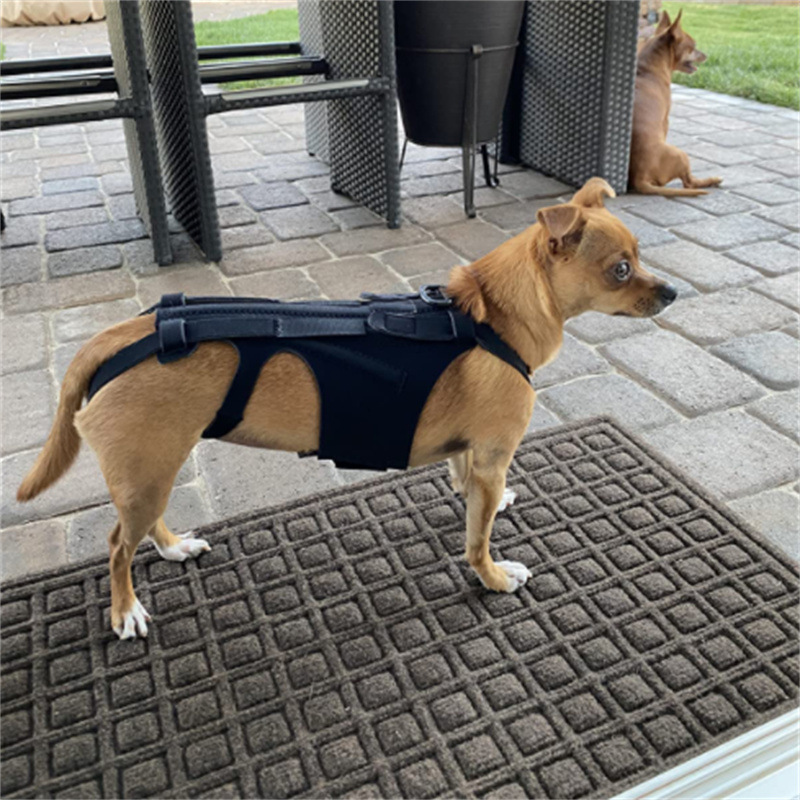 Amazon Explosions Dog Back Support IVDD Relieve Back Pain Relief Pain Injury Support Dog Vest