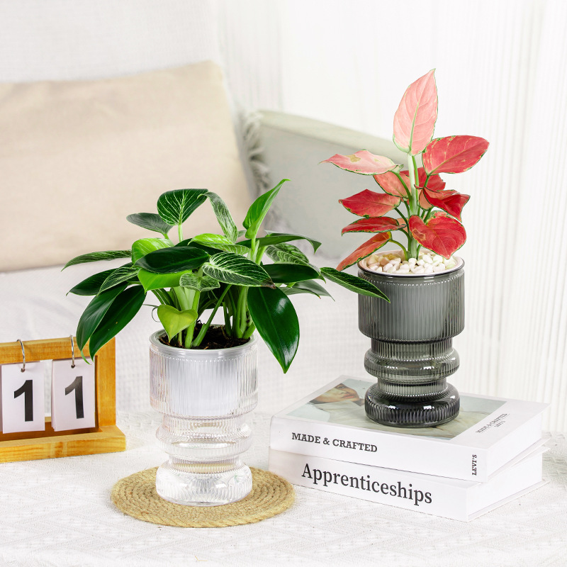 Creative desktop self-absorbent lazy flower pot imitation glass transparent plastic resin small potted hydroponic vase Indoor