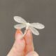 Dragonfly 173