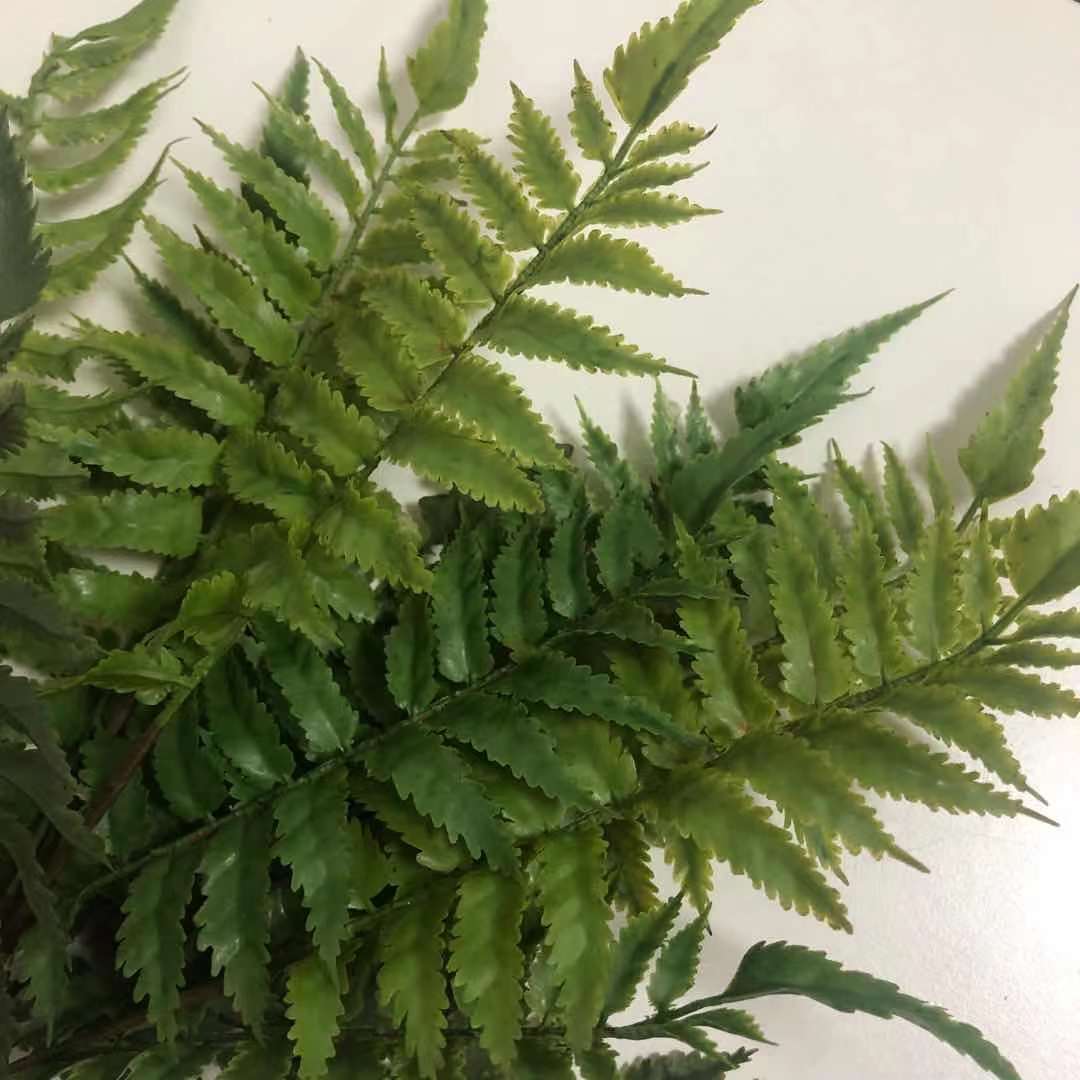 Wholesale High Imitation Persian Fern Grass Various Style Row Grass Green Tianmen East Landscape Plant Fern Grass Leaves