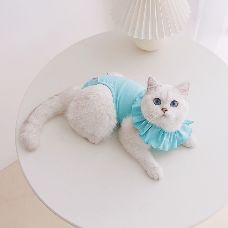 Meoof 薄型通気性ペット弾性手術回復スーツ猫のための抗なめる生理服スプレー後の|undefined