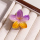 4CM rainbow (purple orange gradient)