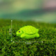 other product image