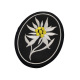 V01453-1 German Edelweiss (white flower yellow core)