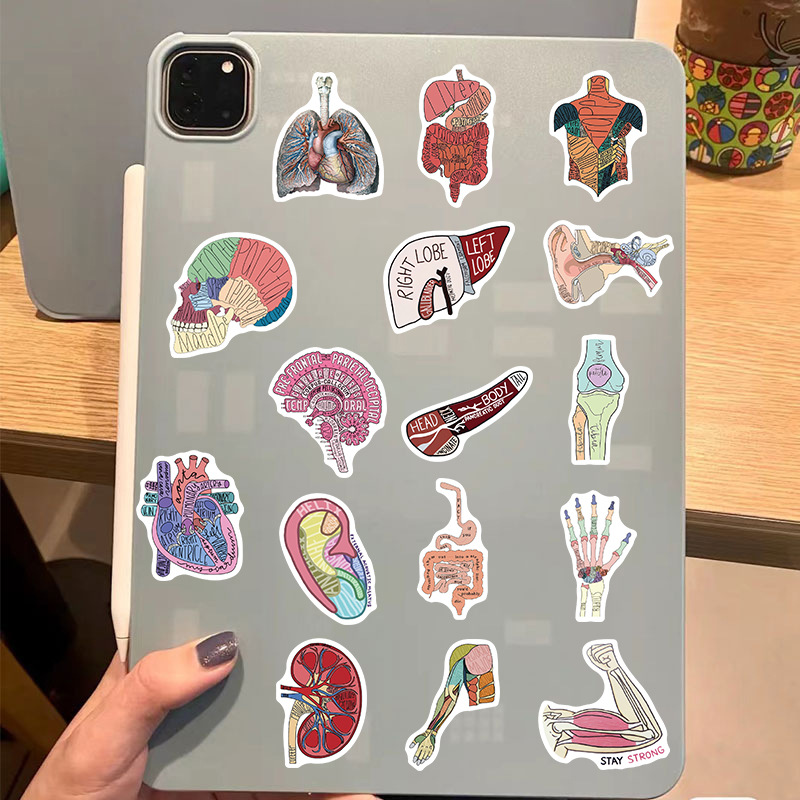 50 cartoon organ anatomy picture graffiti stickers personalized decoration guitar notebook luggage DIY waterproof