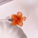 4CM Bauhinia (orange)