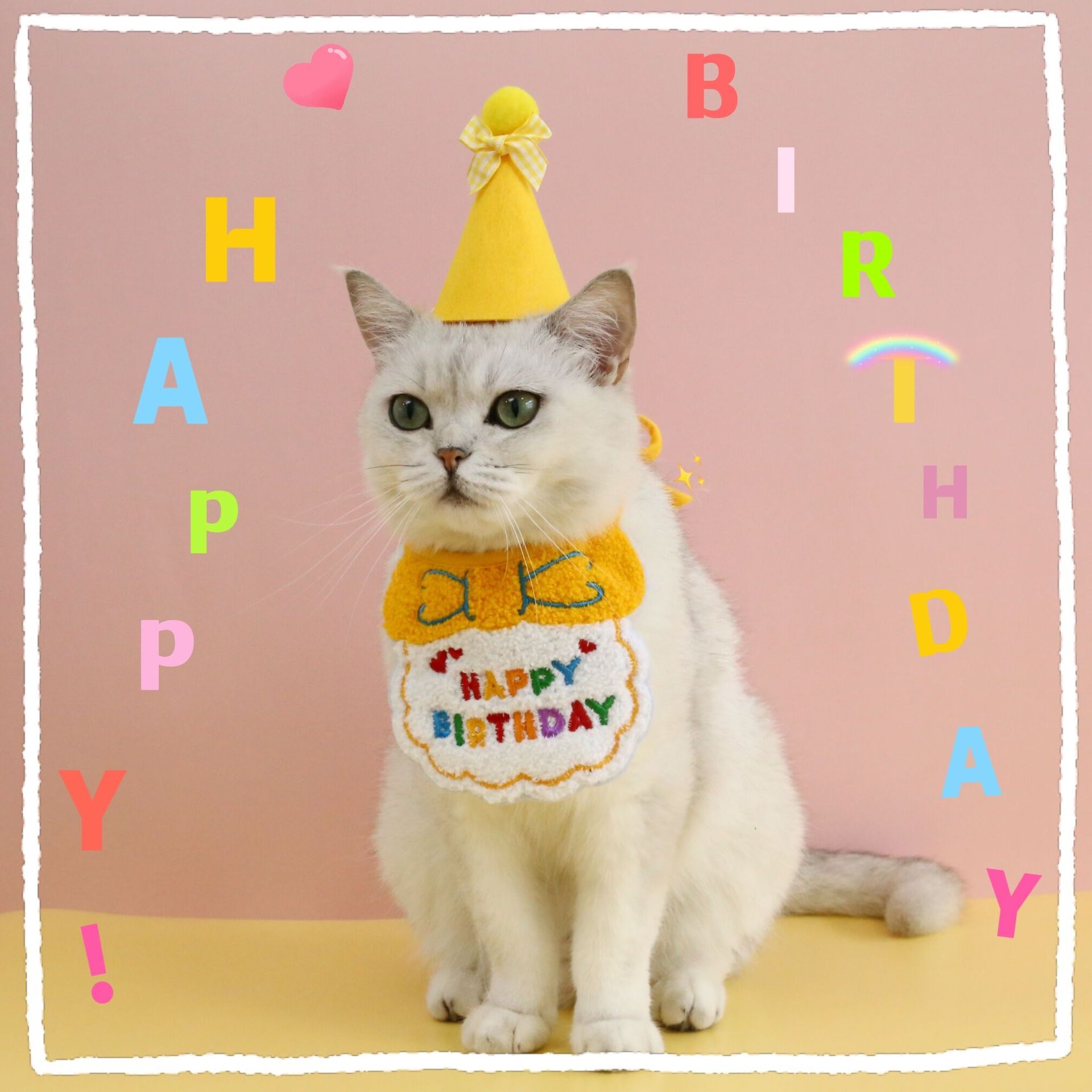 Pet Cat Teddy Dog Embroidered Birthday Party Bow Bib Spit Towel Scarf Hat Set Accessories