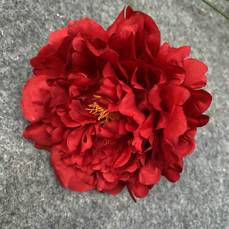 Spring flower head dark red