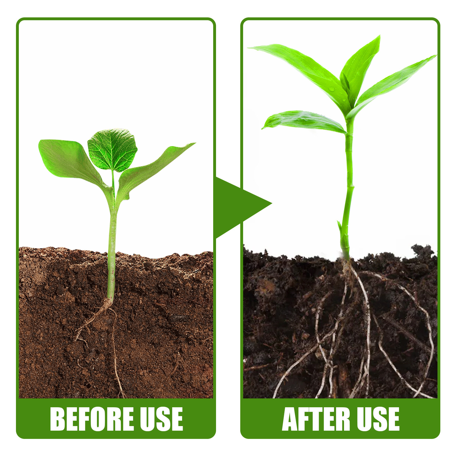 Rooting powder for new plants Rooting powder for cutting plants Transplanting trees Fruit trees Root nutrition powder