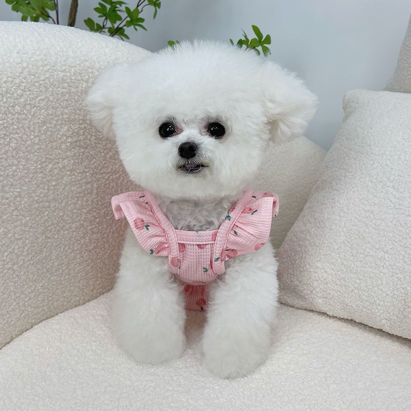 Factory direct supply pet clothes spring and summer new flying sleeve short skirt teddy bear puppy thin universal vest