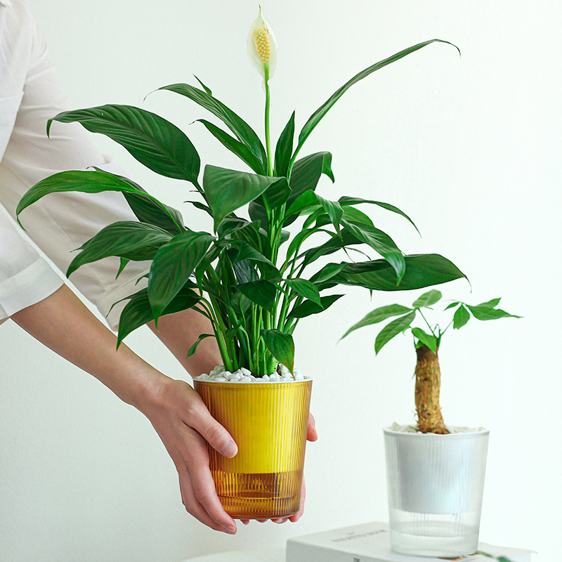 ペットガーデン用品フラワーポット植物容器装飾花瓶|undefined