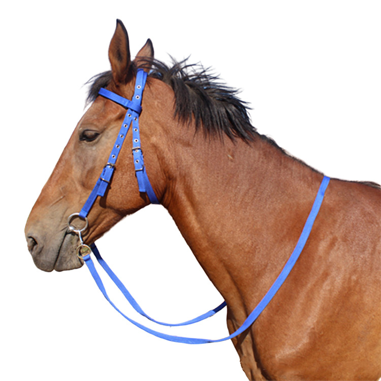 Steamer head rope equestrian supplies horse cage cover size short horse bridle horse gear head cover accessories water leash bridle