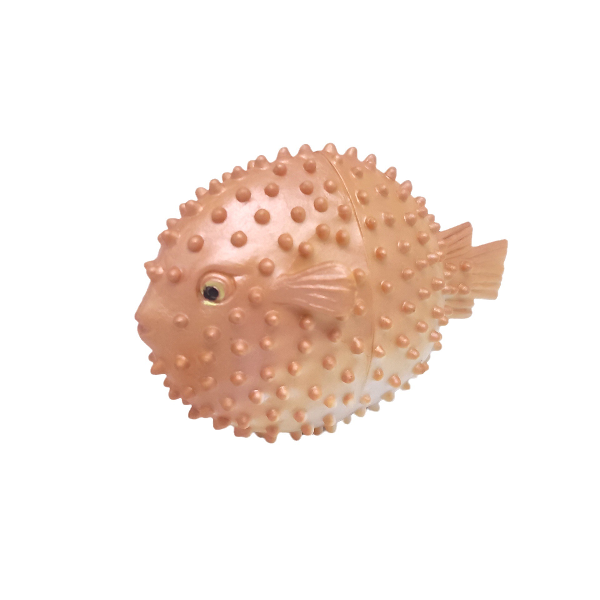 Ancient biological simulation marine animal model children's toy Chinese horseshoe crab lobster right-angle stone model cross-border