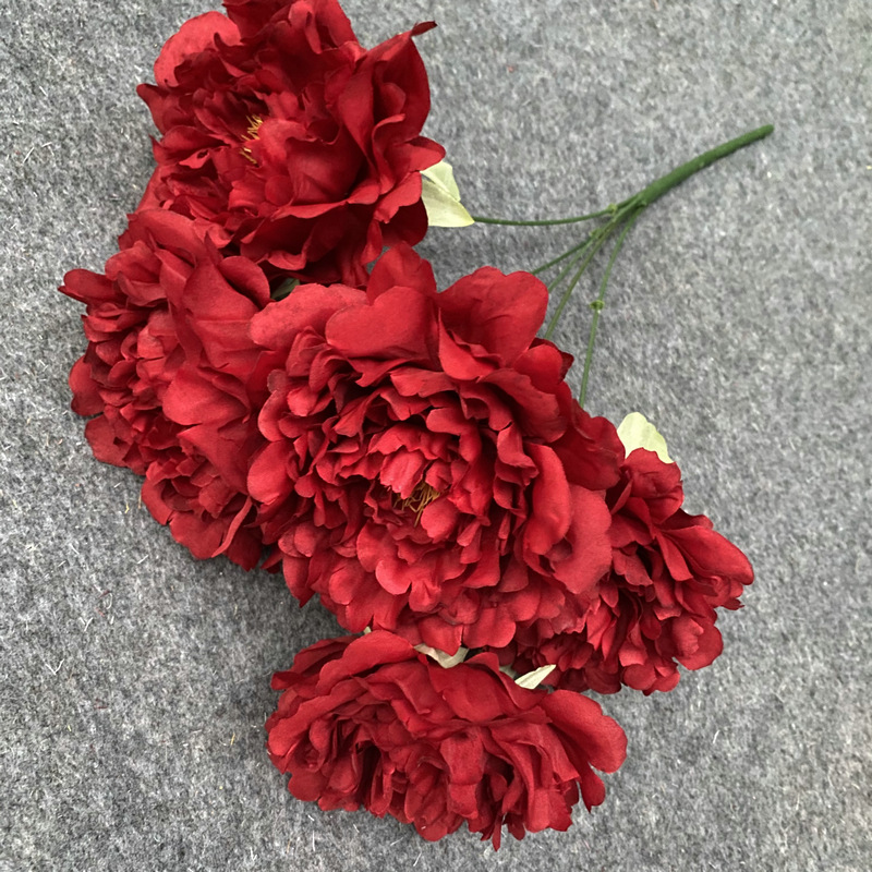 Spring leafless dark red