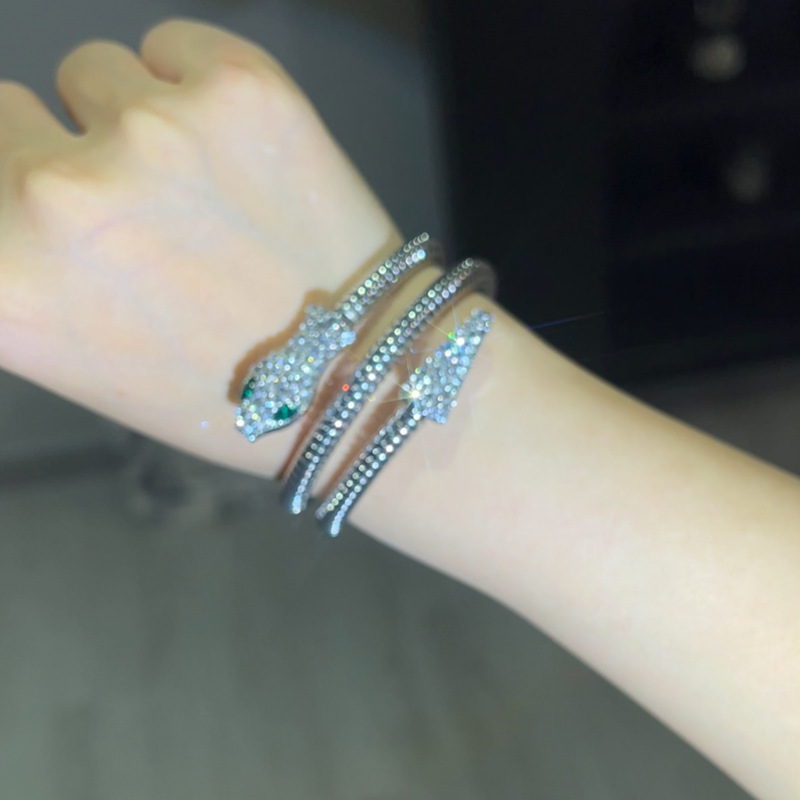 Fashion Exaggerated European and American Snake Bracelet Niche Design Spring Bracelet Trendy Personality Bracelet Spirit Snake Necklace Collar