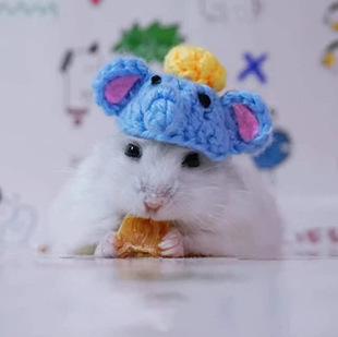 Handmade Mini Pet Hat Elephant Pig Hat Small Animal Clothing Accessories for Hedgehog Hamster Squirrel Lizard