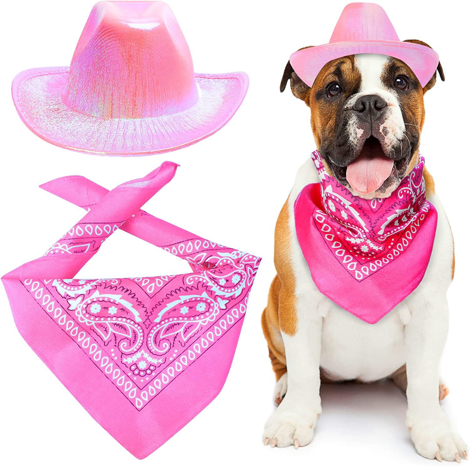 Pet Neon Shiny Space Cowboy Hat Clothing Suit Dog Cat Fantasy Cowboy Hat Western Cowboy Accessories
