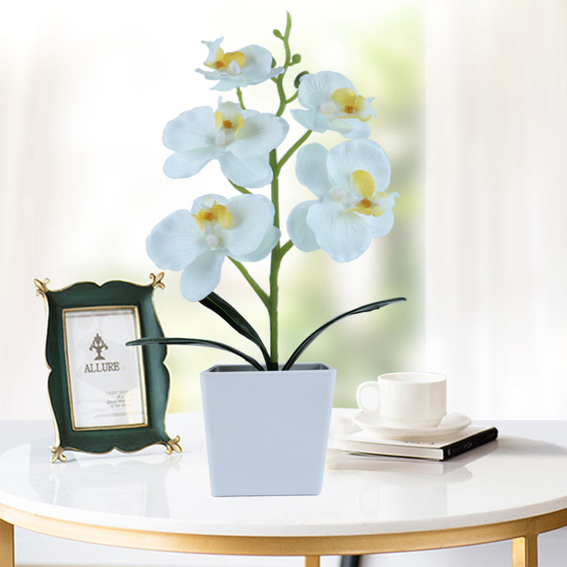 Simulation Phalaenopsis Simulation Potted Plant Nordic Floriculture Decoration Fake Flower Potted Plant Green Plant Small Bonsai Simulation Plant
