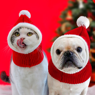 Cute Coarse Wool New Year Cat Hat Pet Christmas Headgear Dog New Year Hat Pet Jewelry Knitted Hat
