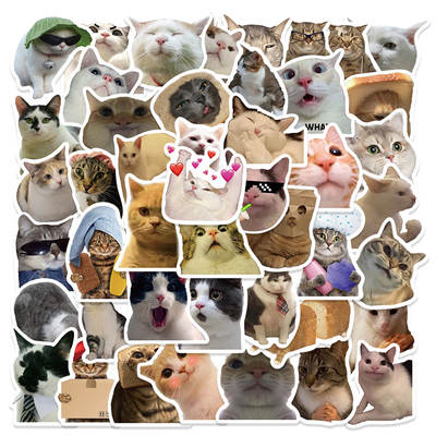 50 cross-border popular cartoon funny cat hand account stickers personalized graffiti luggage phone case guitar skateboard