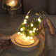 Suzuki Orchid Night Light Decoration Handmade diy Material Bag Decoration Glass Garden Bedroom Ornaments Birthday Gift