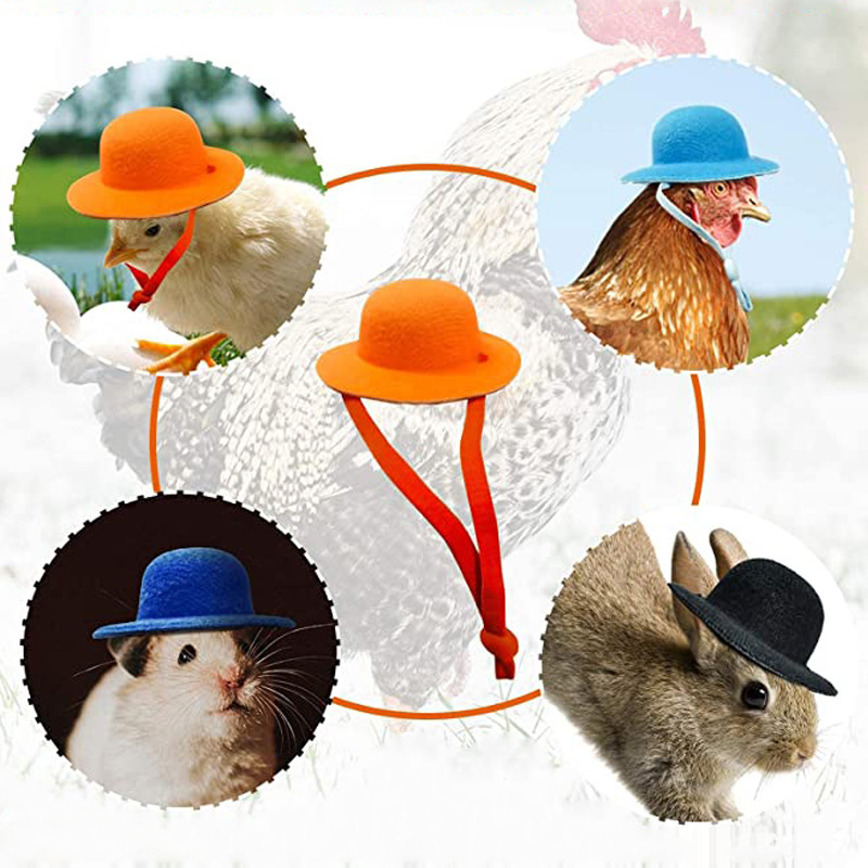 New cockscomb headdress pet hat chicken hat chicken supplies for Small Animals funny hat accessories