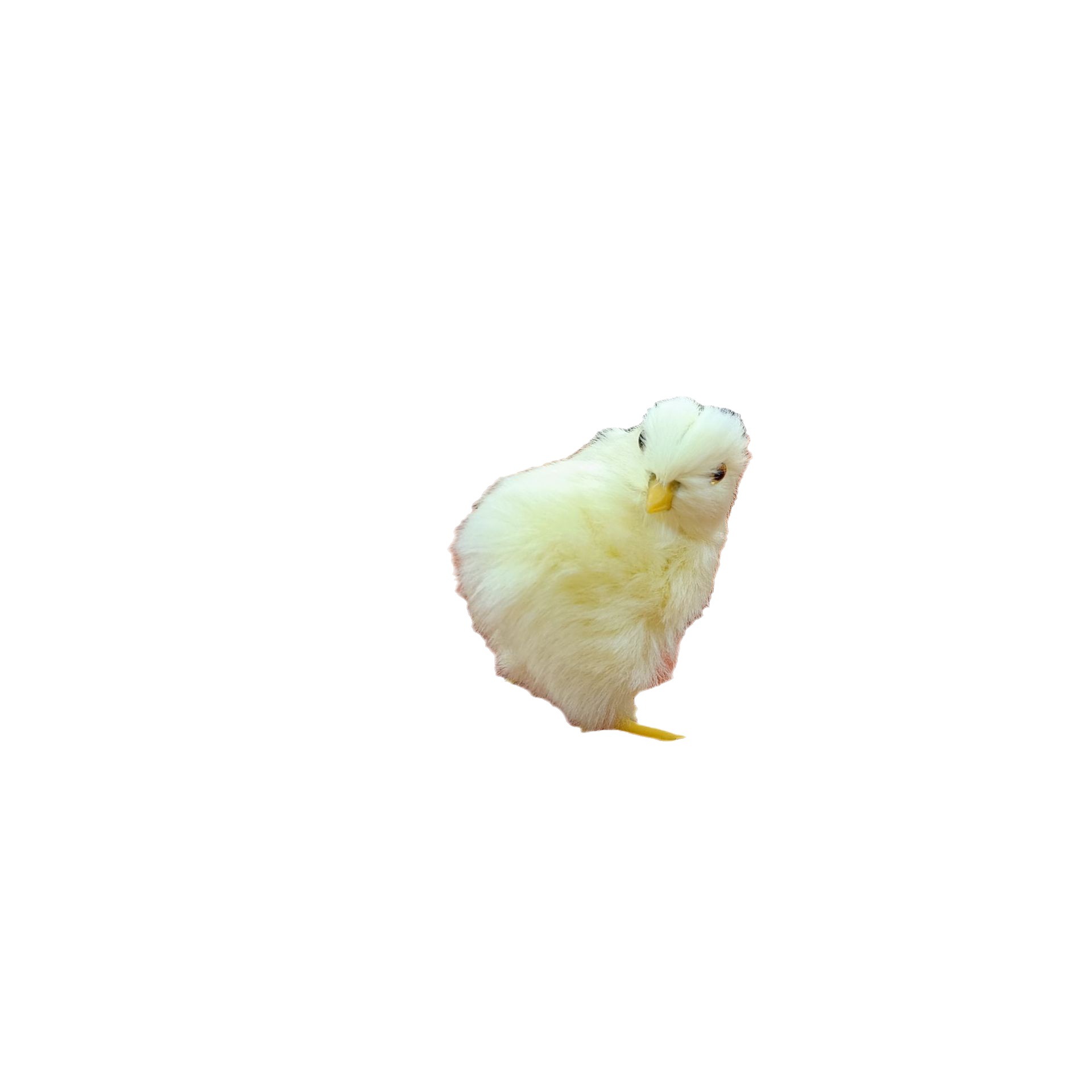 Cross-border Simulation Chicken Plush Toy Animal Doll Children's Teaching Easter Supplies Chicken Model Ornaments