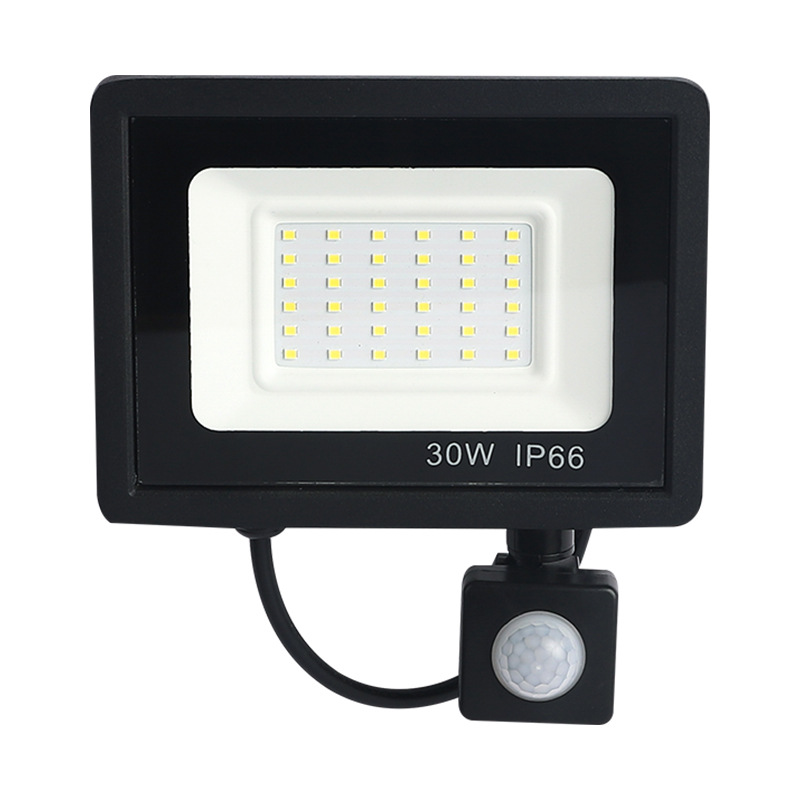 LED remote control flood light human body induction apple flood light with remote control 50W100W light control induction outdoor light