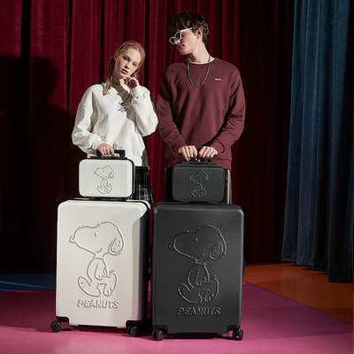 Snoopy suitcase female small fresh luggage case male student travel password box cartoon leather box a generation of hair