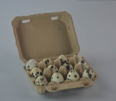 Factory Supply Pulp Quail Egg Box 12 Quail Egg Box Shock Absorbing Degradable Quail Egg Box