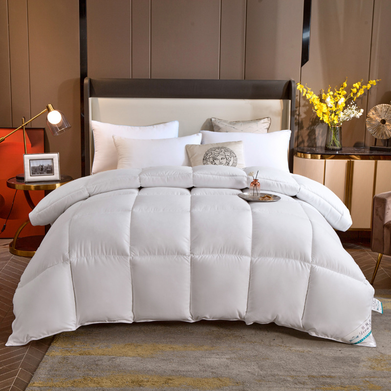 Winter quilt feather velvet quilt silk quilt thickened warm quilt core winter quilt hotel quilt gift quilt wholesale generation