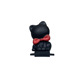 Faceless Cat