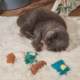 New cat toys animal dolls containing cat grass cat self-relief catnip toys anti-depression factory direct sales