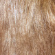 28# light brown