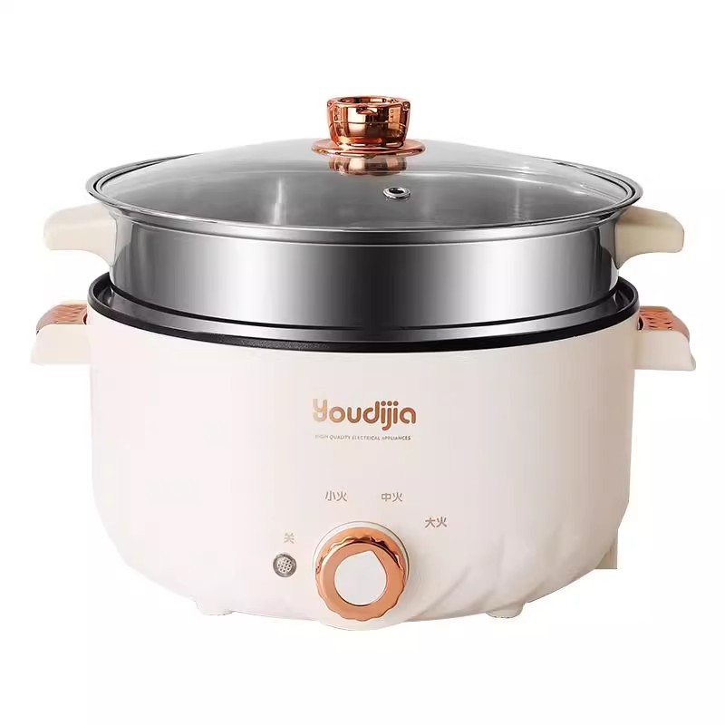 110V Multifunctional Electric Cooking Pot Overseas for Hong Kong, Japan, Taiwan, United States, South Korea Home Dormitory Electric Hot Pot