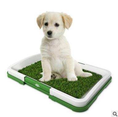 potty patch puppy indoor toilet flat mesh format three layer Pet Lawn TV dog toilet potty