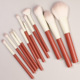 Holiday 12 sets of brush