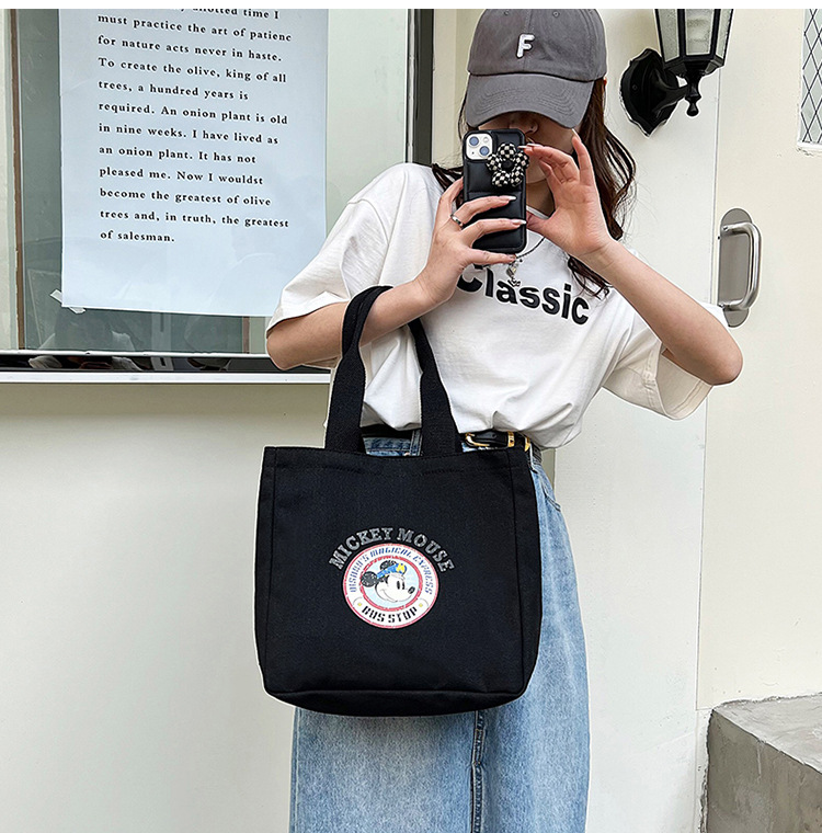 New cartoon simple large-capacity canvas bag niche French style high-looking work commuter portable small tote bag for women