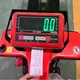 Zhongli Small King Kong Forklift Scale (Self-adhesive Printing)