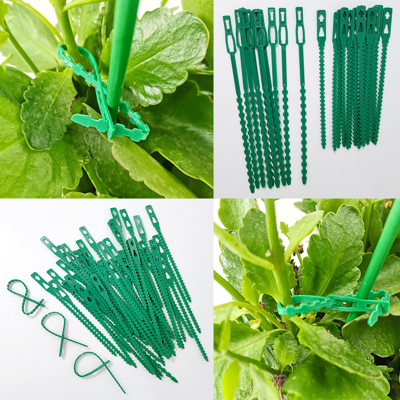 50 multi-functional ties fish bone spurs green ties garden fixed line gardening fish bone ties cable factory