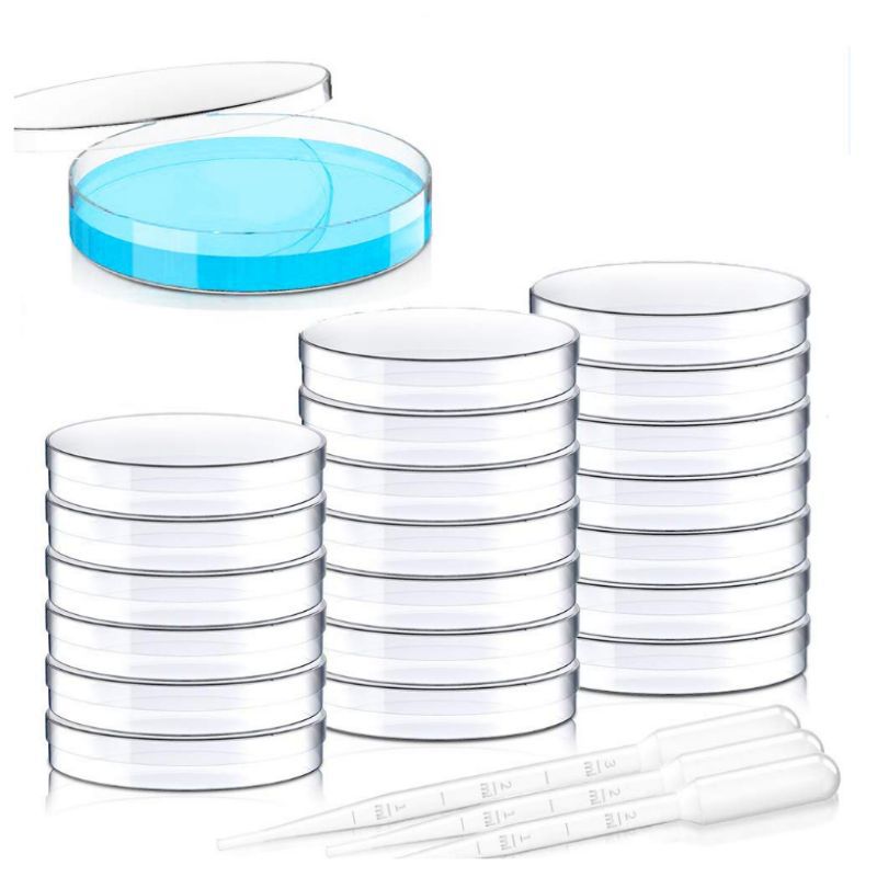 Cross-border Disposable Plastic Petri Dish Cell Petri Dish 35mm 60mm 70mm 90mm Plastic Dropper