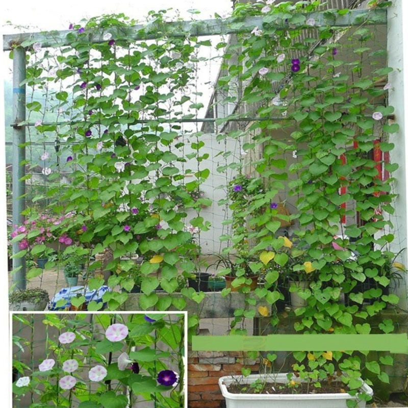 27 ストランド園芸植物つるネットフルーツ引っ張る花つる植物ロープ耐久性のあるポリプロピレン素材|undefined