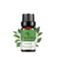 Single: camphor tree Camphor 10ml