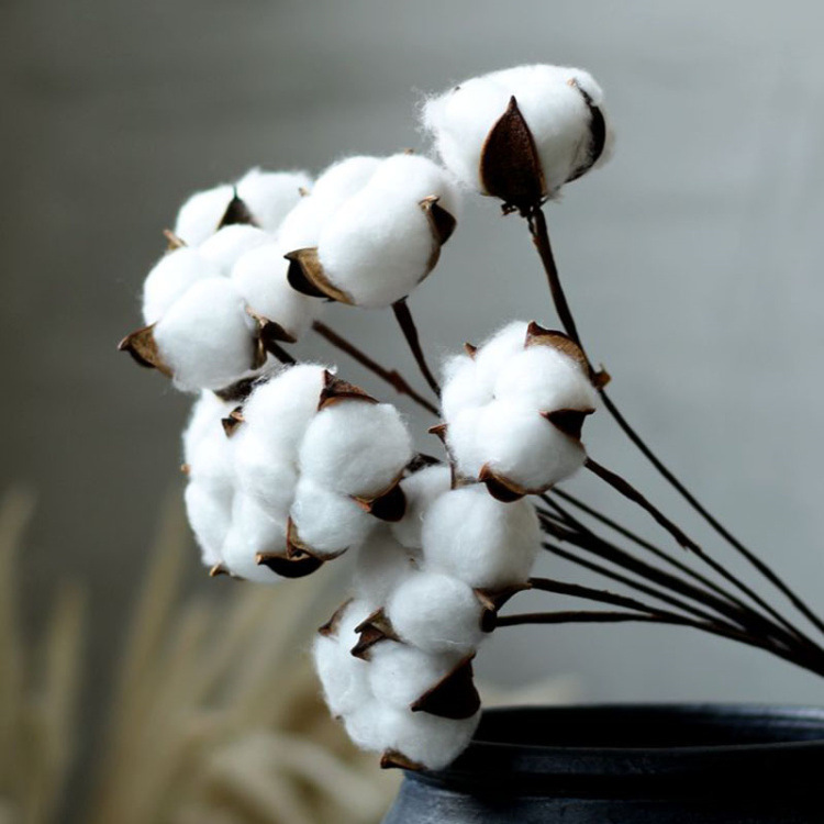 Immortal cotton simulation single kapok bouquet dried flower home decoration photo props Flower arrangement accessories 10 PCs/handle