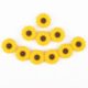 Yellow Daisy