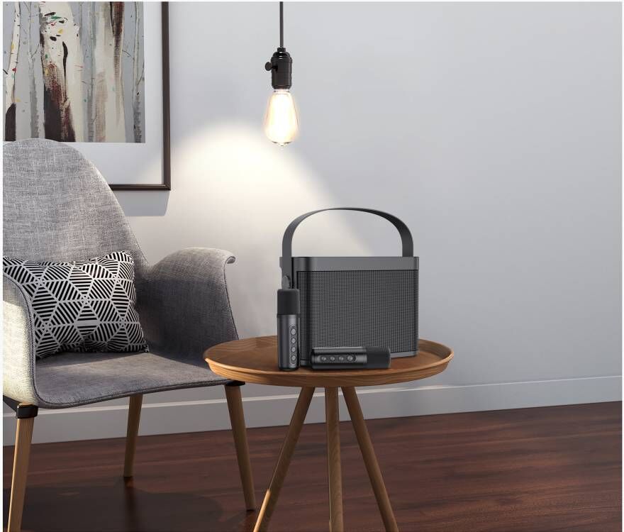 YS-219 source factory handheld KTV portable speaker mobile phone Bluetooth microphone Wireless Rechargeable kge treasure
