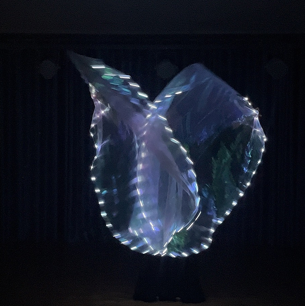New led luminous flag white fabric white light button battery with switch dance props watch performance clothing